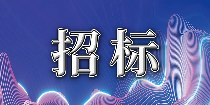 湖南省衡阳县演陂镇肖公凼水闸除险加固工程招标公告